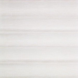 Shade3D-801