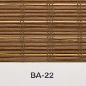 ba-22