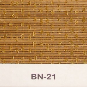 bn-21