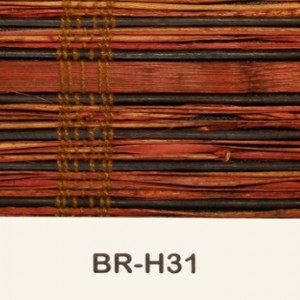 br-h31