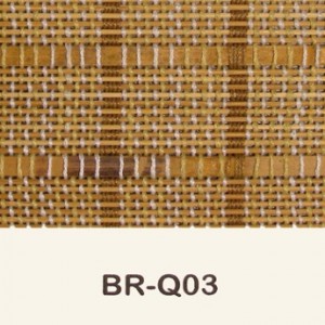 br-q03