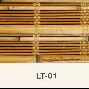 lt-01