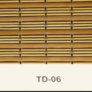 td-06