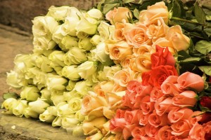 088