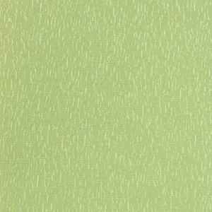 Apollon081