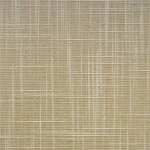 Shantung0816