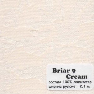 BRIAR 9