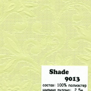 SHADE 9013