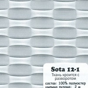 SOTA 12-1